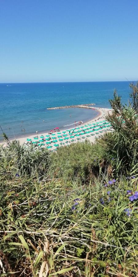 Villa Giuliana Stanze Con Bagno Interno In Villa A 350 Mt Spiaggia Libera Lido Delle Sirene Анціо Екстер'єр фото