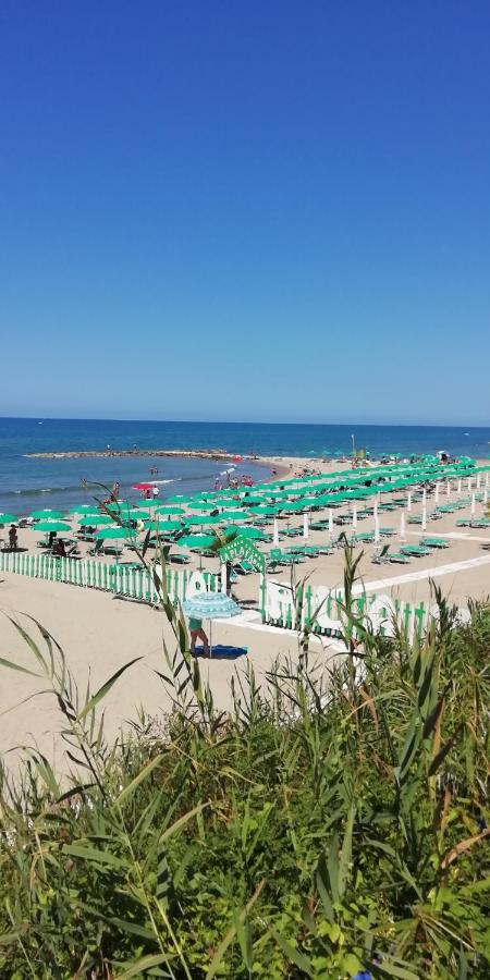 Villa Giuliana Stanze Con Bagno Interno In Villa A 350 Mt Spiaggia Libera Lido Delle Sirene Анціо Екстер'єр фото